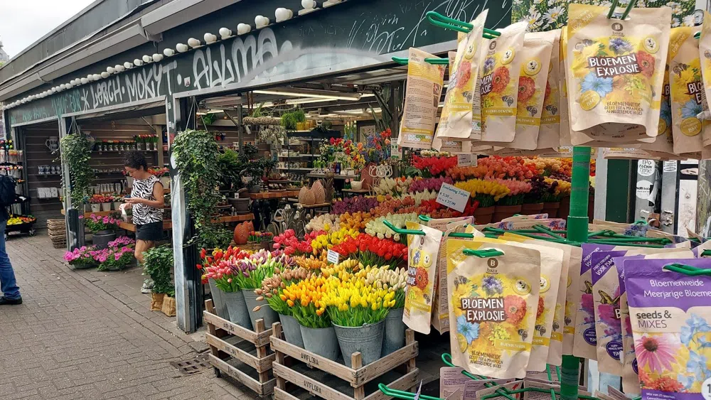 Buying Tulip Bulbs at Amsterdam's Floating Bloemenmarkt