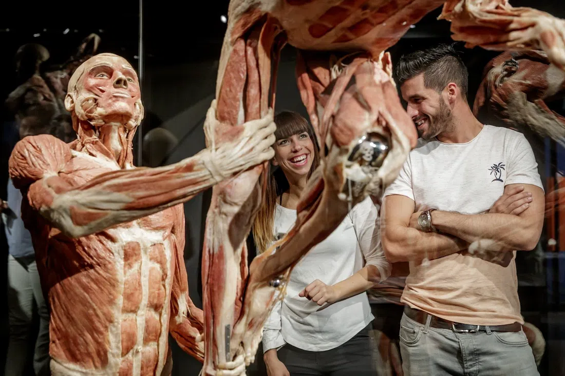 Body Worlds Amsterdam — The Happiness Project, Amsterdam