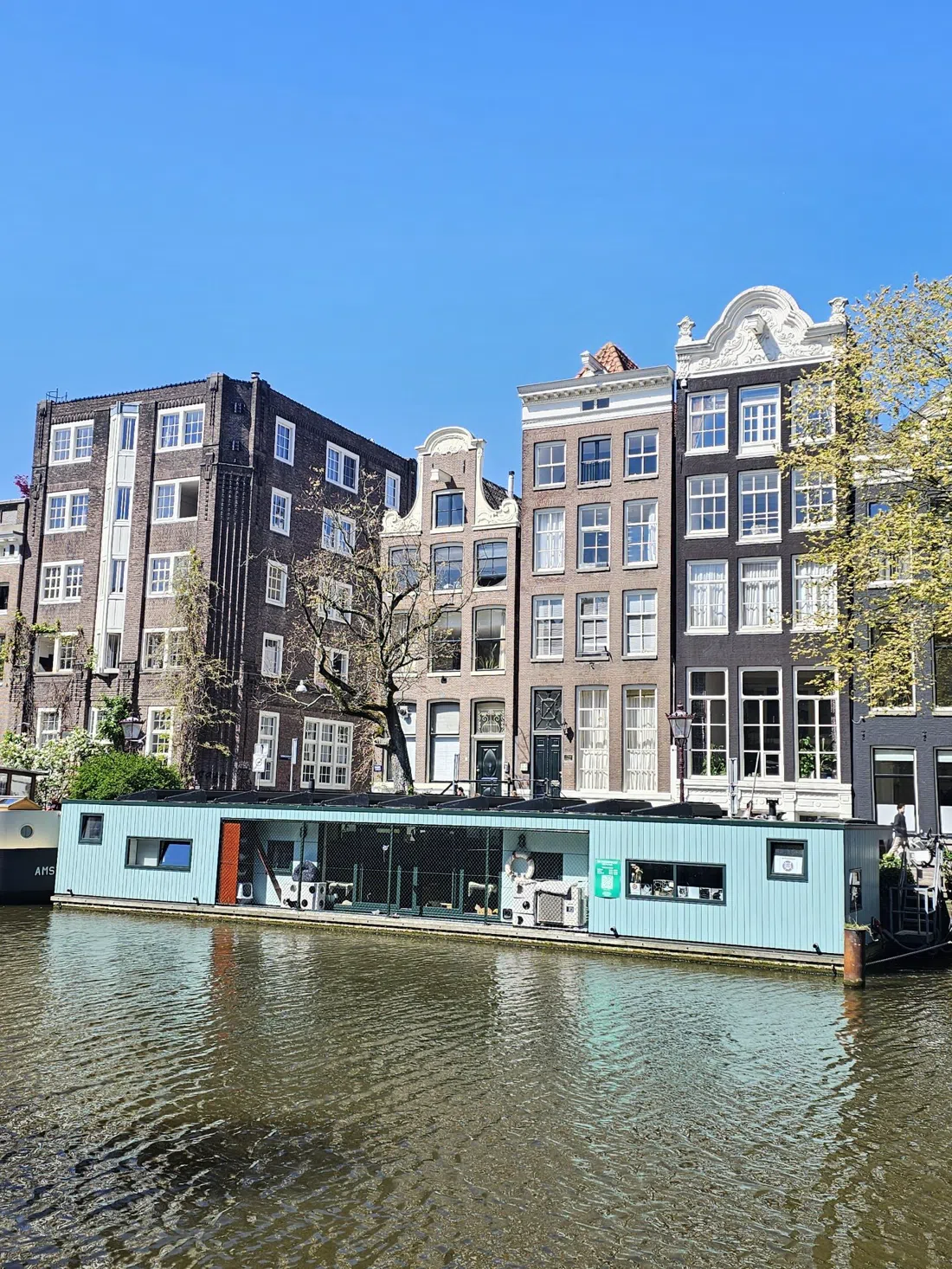 De Poezenboot (The Cat Boat), Amsterdam