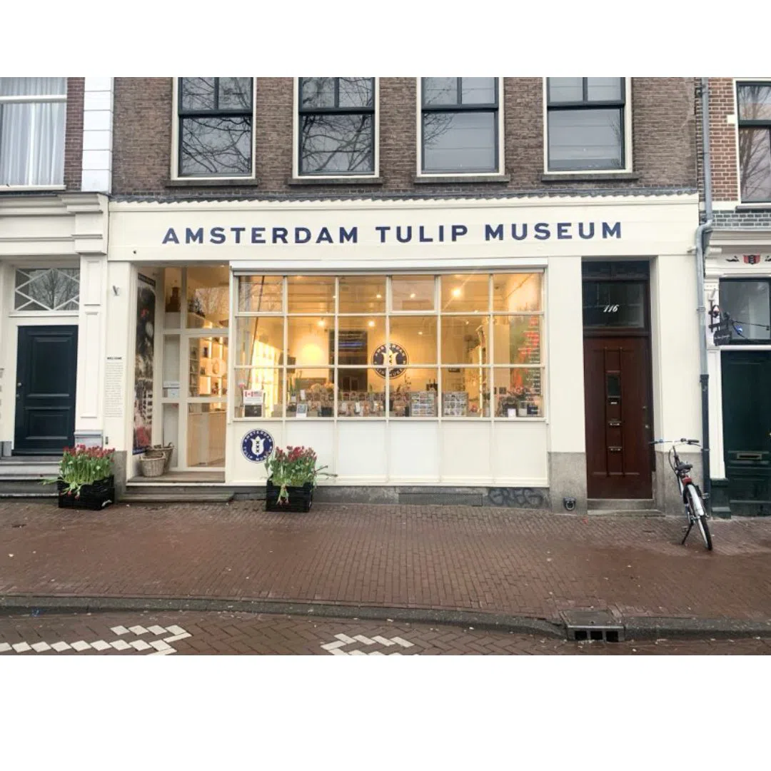 アムステルダム・チューリップ博物館、アムステルダム