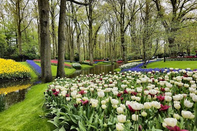 Keukenhof