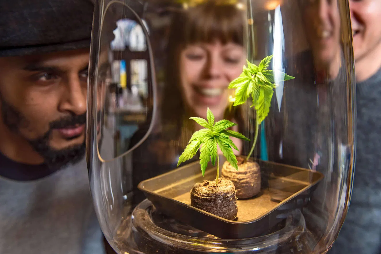 Hash Marihuana & Hemp Museum, Amsterdam